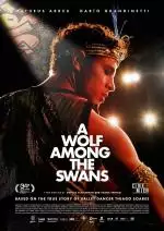 AWolfAmongTheSwansFilmhuisWeert_134281489942533910_big-cine_deskt.webp